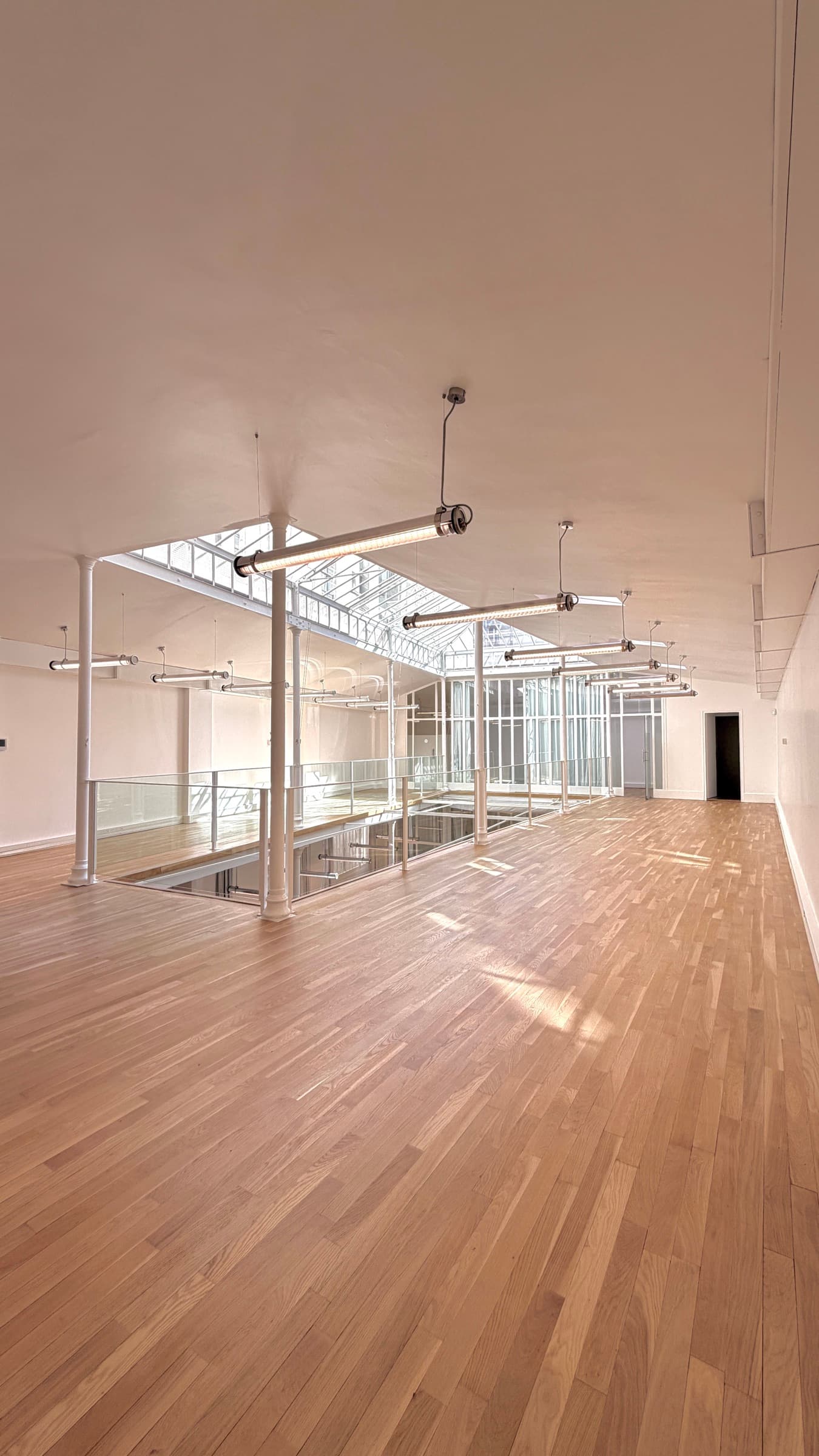 Grand plateau de la mezzanine en parquet chêne dégagé, colonnes et verrière