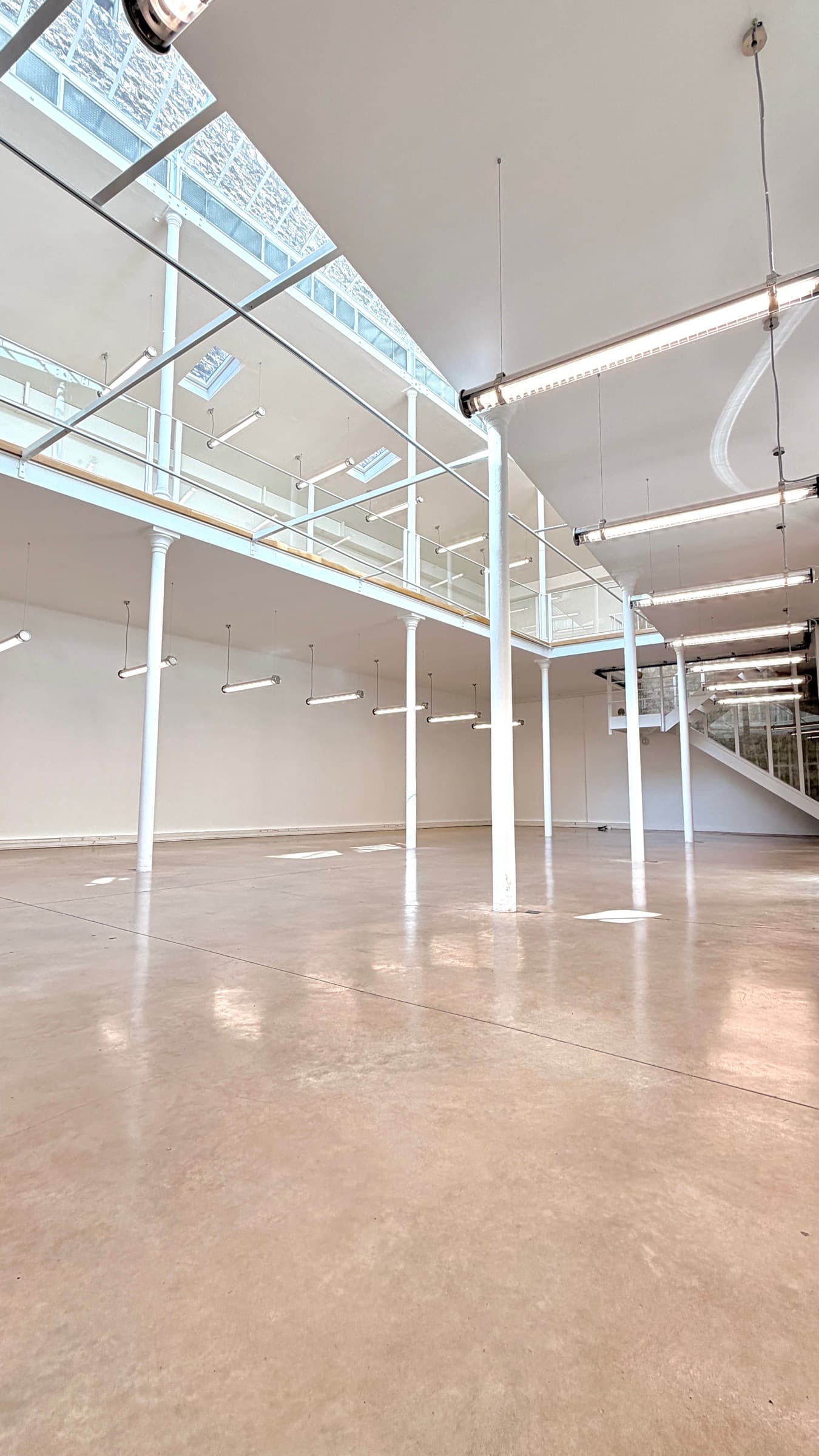 Plateau RDC sous la mezzanine, colonnes, néons suspendus et béton ciré brillant