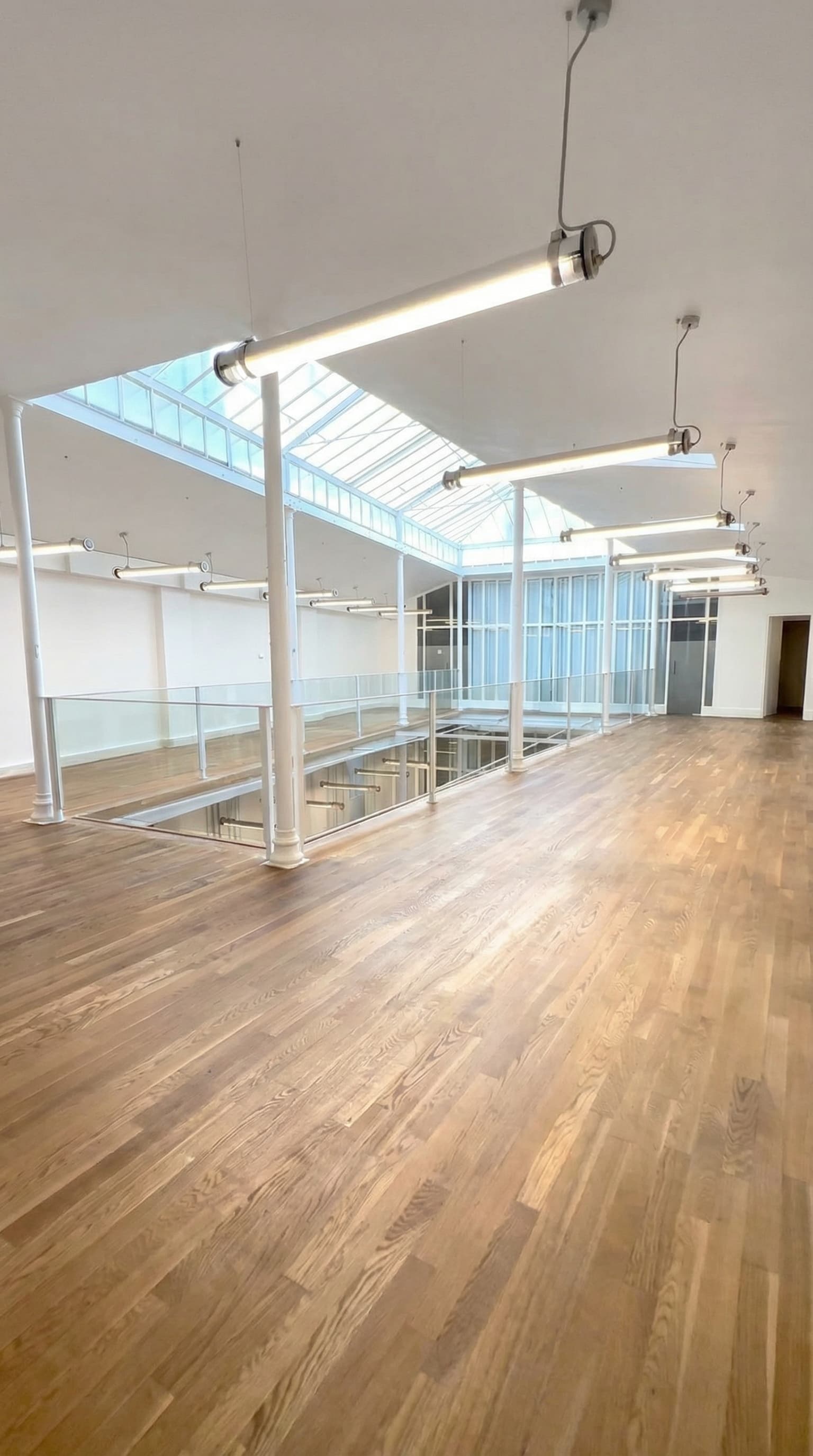 Mezzanine avec parquet et verrière zénithale